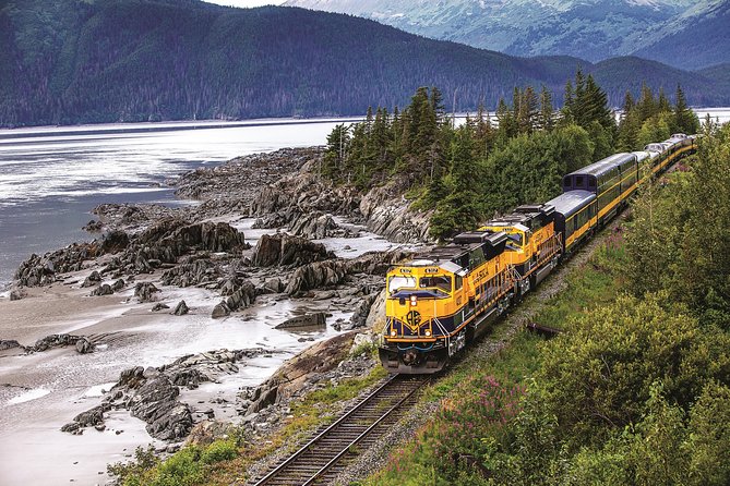 Alaska Railroad Anchorage to Seward Round-Trip Same Day Return - Exploring Seward: Free Time and Optional Activities