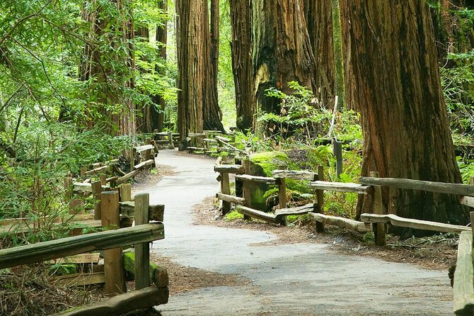 Alcatraz Muir Woods Express With Golden Gate Bridge Visit - Itinerary and Schedule