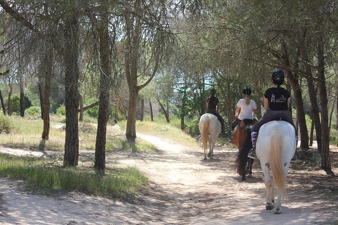 Algarve - Exclusive Horseriding in Portimao (No Experience Required) - Scenic Trails and Coastal Landscapes