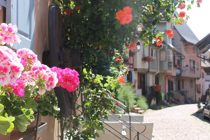Alsace Wine Route Small Group Half-Day Tour With Tasting From Strasbourg - Tour Experience and Highlights
