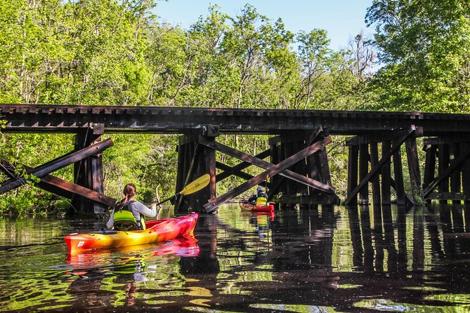 Amelia Island Guided Kayak Tour of Lofton Creek - Tour Experience