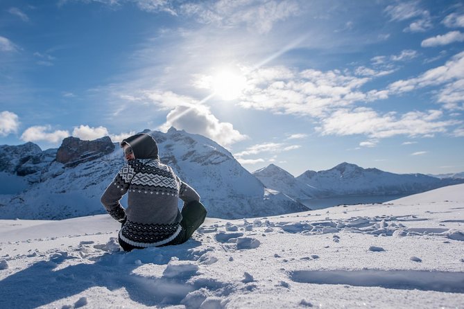 Arctic Nature Photography Sightseeing Tour From Tromso - Inclusions