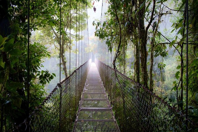 Arenal Hanging Bridges in Mistico Park - Meeting and Pickup