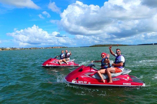 Avis Premium Dolphin Tour by Jet Ski - Wildlife Experience