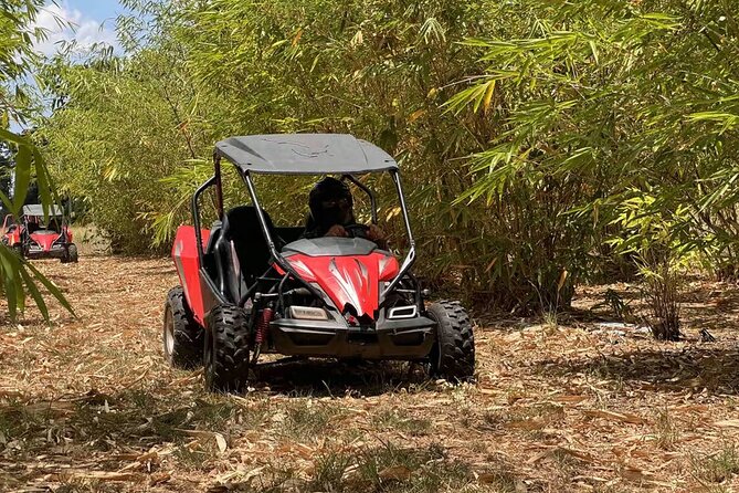 Bamboo Dune Buggy Tour - Meeting and Pickup Information