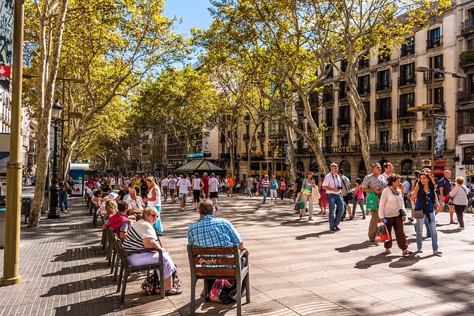 Barcelona Highlights Private Guided Tour With Hotel Pick-Up - Accessibility and Participation
