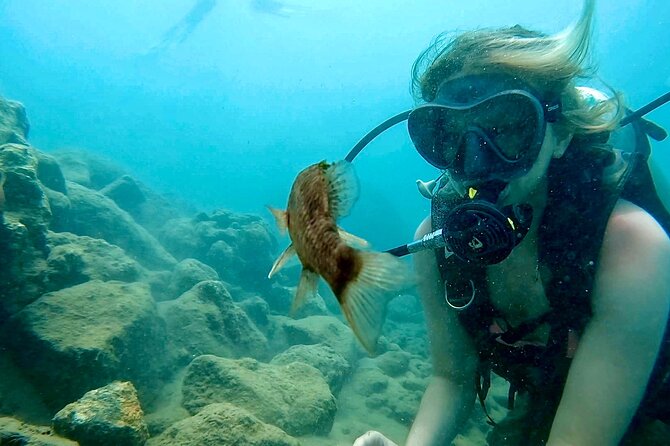 Beginner Scuba Diving Experience With Videos in West Palm Beach - Meeting and Logistics