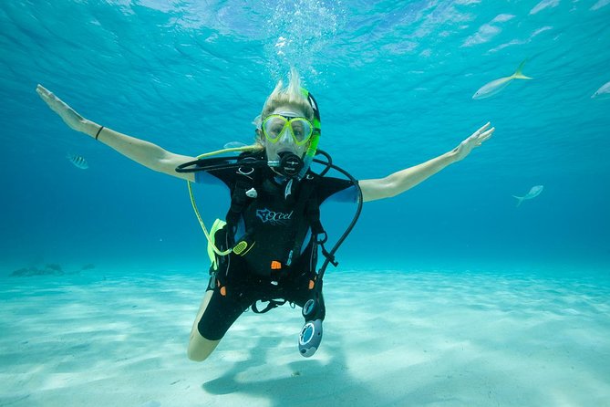 Beginners Scuba Diving Experience in Gran Canaria - Exploring the Underwater World of Puerto Rico