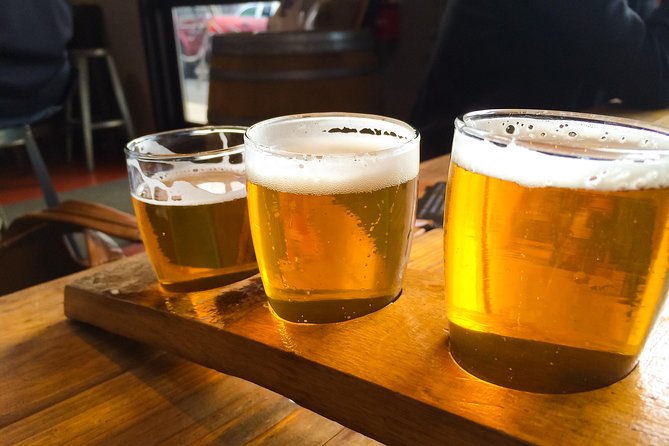 Bike & Brew: Beautiful Denver Downtown Tour by E-Bike or Bicycle - Pricing and Booking