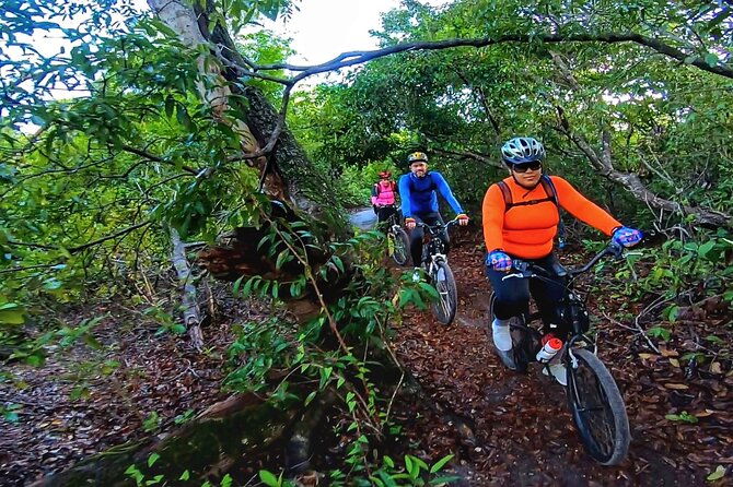Bike Trails in Porto De Galinhas - Exploring the Coastal Landscapes