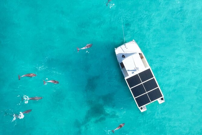 Biologist Owned & Operated: Dolphin Watching & Guided Snorkeling - Meeting and Pickup Information
