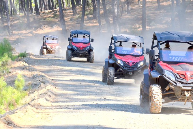 Buggy Safari - Departure and Group Size