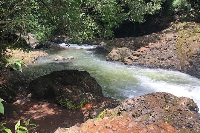 Buggy Tour in Jaco - Tour Details