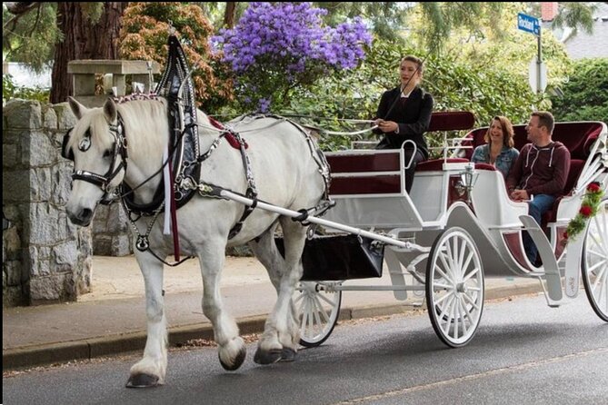 Central Park and NYC Private Horse Carriage Ride - Exploring Central Parks Landmarks and Attractions