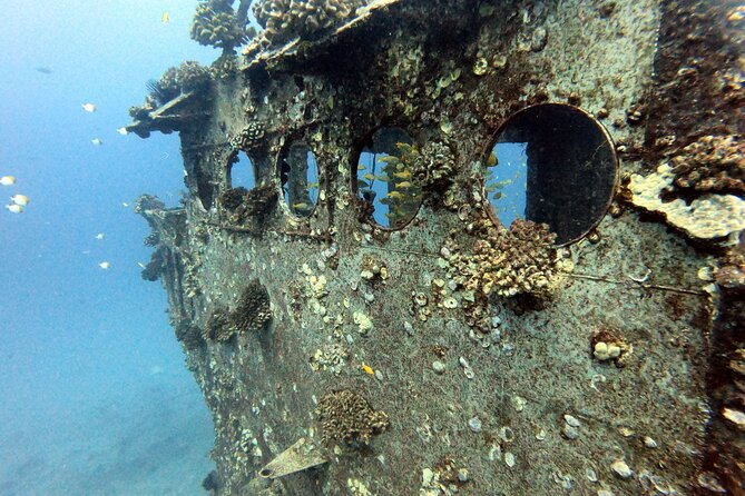 Certified Diver: 2-Tank Deep Wreck and Shallow Reef Dive Off Oahu - Discovering the Vibrant Shallow Reef