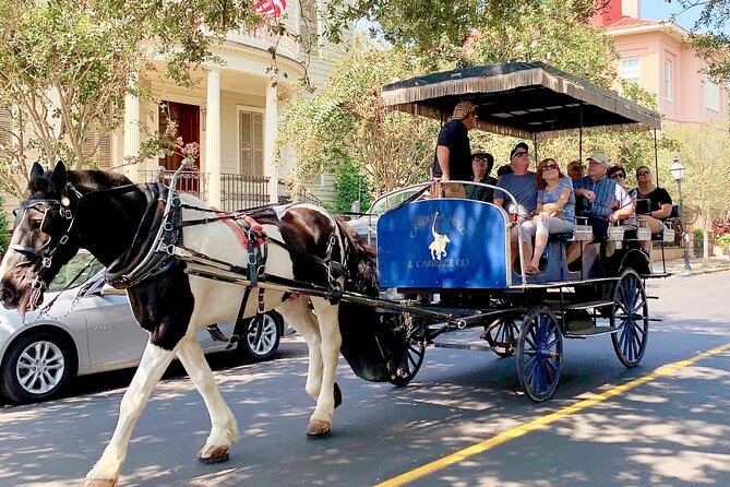 Charleston Horse & Carriage Historic Sightseeing Tour - Meeting and Departure Details