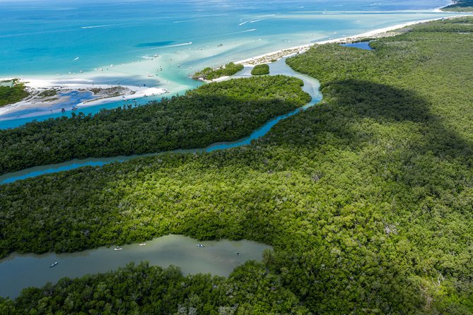 Clear Kayak Guided Eco Tour in North Naples - Spotting Wildlife Along the Way