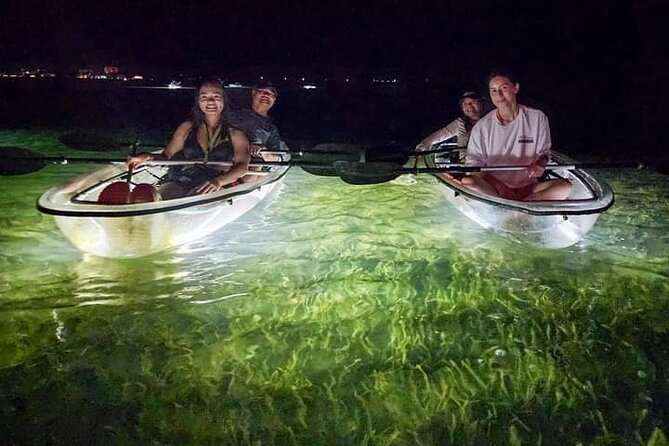 Clear Kayak LED Night Glass Bottom Tour - Sarasota - Experience Highlights