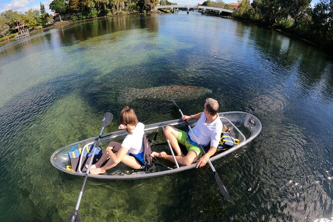 Clear Kayak Manatee Ecotour of Crystal River - Health and Safety Considerations