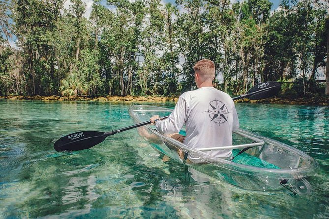 Clear Kayak Tour of Crystal River - Wildlife and Ecosystem