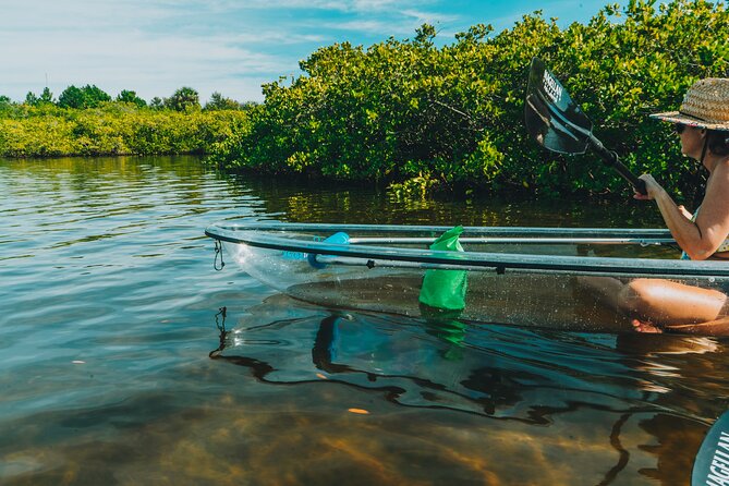 Clear Kayak Tour of Tarpon Springs | Manatee Season - Exploring Spring Bayou and Craig Park