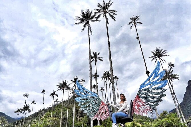 Cocora Valley, Salento and Coffee Farm Day Tour - Taking in the Coffee Cultural Landscape