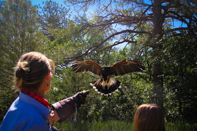 Colorado Springs Hands-On Falconry Class and Demonstration - Interaction With Birds of Prey