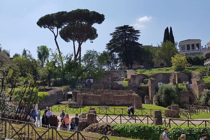 Colosseum Arena Floor Roman Forum and Palatine Hill Small Group - Highlights of the Colosseum Arena Floor Tour