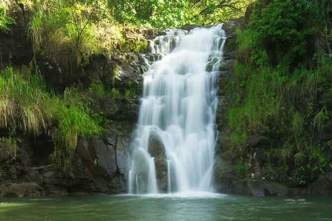 Complete Island Tour and Waterfall Photo Experience - Transportation and Logistics