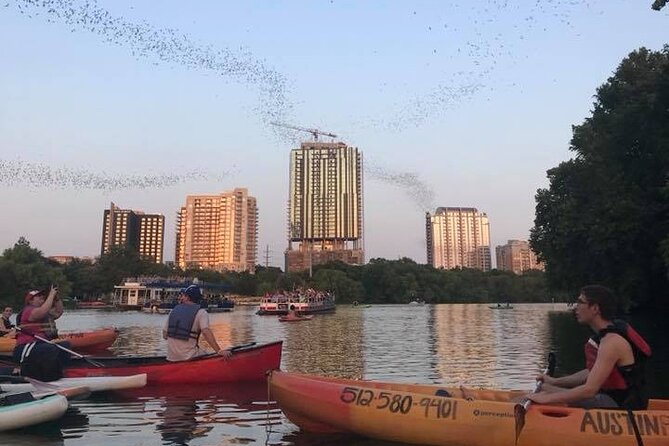 Congress Avenue Bat Bridge Kayak Tour in Austin - Whats Included in the Tour