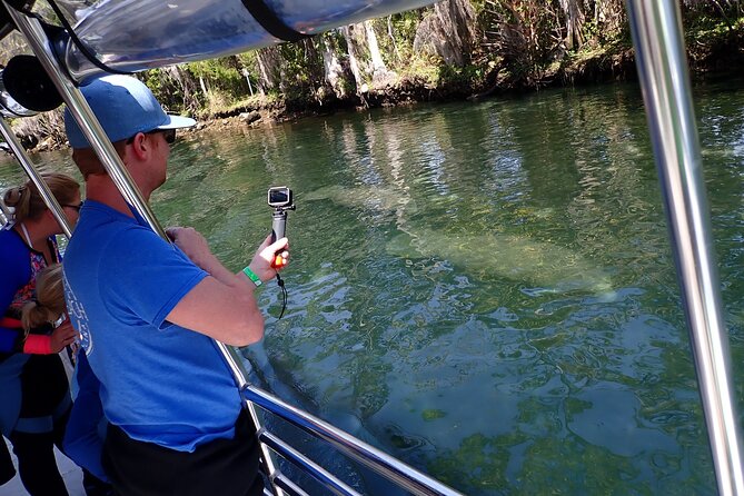 Crystal River Manatee Viewing Cruise - Tour Information