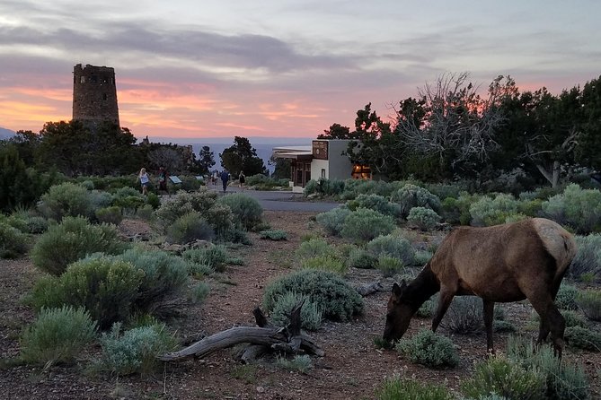 Custom Grand Canyon Day Trip - Pickup and Meeting Details