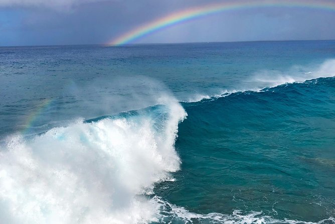 Customizable Island Tours Tours on Oahu - Tour Highlights and Activities