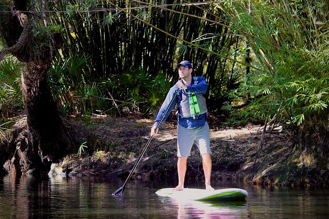 Cypress Forest: Guided Nature Kayak Eco-Tour - Guided Experience and Safety