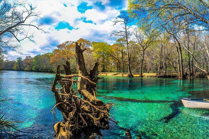 Cypress Springs Eco Adventure - Tour Details and Activities