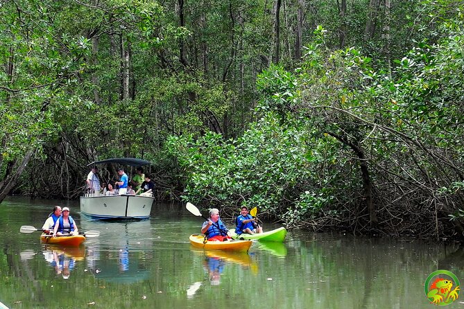 Damas Mangrove Boat Tour - Location and Accessibility