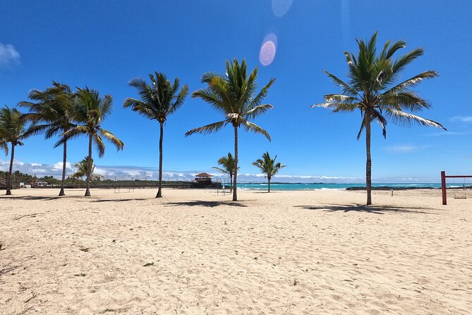Day Tour to Isabela Island With Tintorera Islet, Snorkeling Wetlands & Flamingos - Inclusions