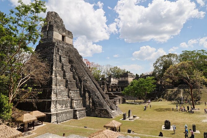 Day Trip to Tikal Maya Ruins Including Lunch - Wildlife Spotting Opportunities