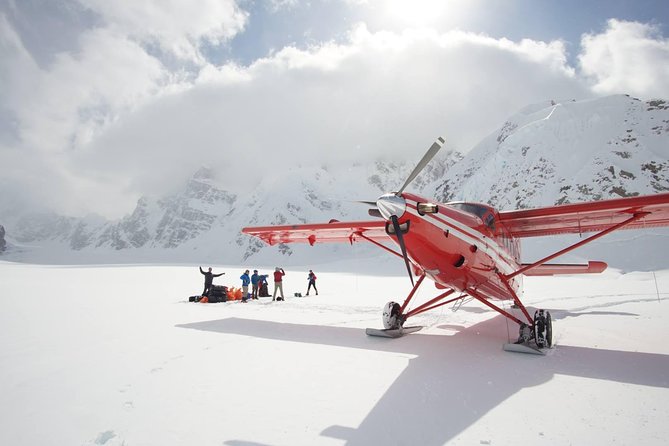Denali Flyer Flightseeing Tour From Talkeetna - Experience Details