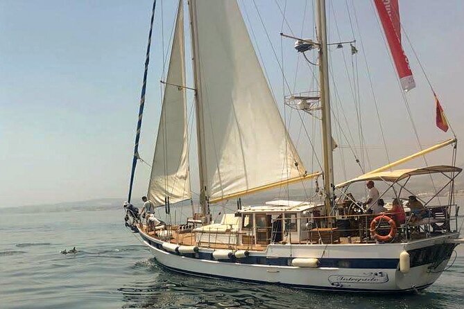Dolphin Watching Adventure in Estepona Bay - Meeting and Pickup Information