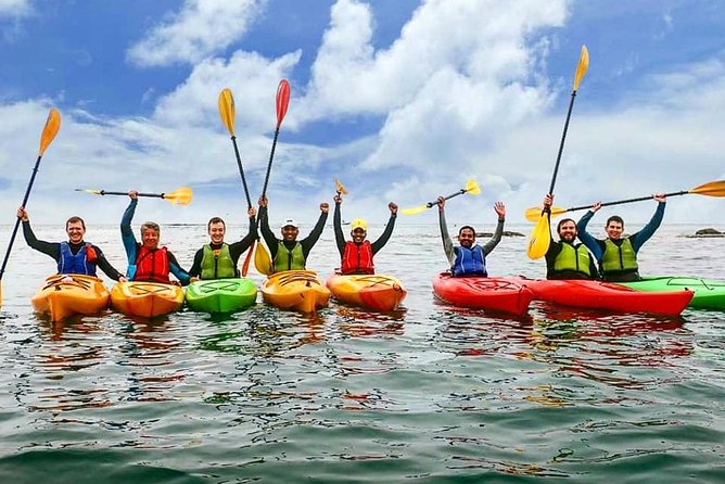 Dublin Bay Seal Kayaking Safari at Dalkey - Reviews and Feedback