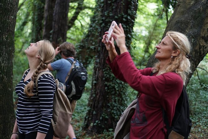 Dublin Coastal Hike With Howth Adventures - Discovering Howths Historic Landmarks