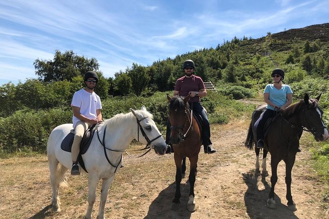 Dublin to Wicklow, Glendalough Small Group Tour With Horse Riding - Horseback Riding Experience
