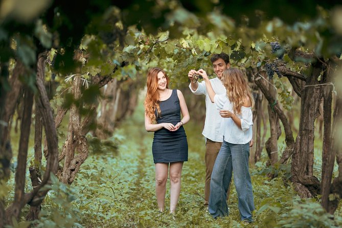 Etna Countryside Food & Wine Lovers Tour (Small Group or Private) - Inclusions and Logistics