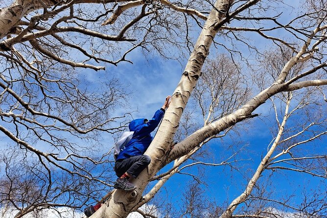 Etna Family Tour Excursion for Families With Children on Etna - Meeting and Pickup Details