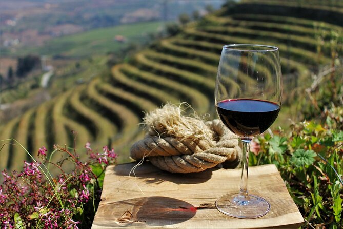 Exclusive Douro Valley: Visit 3 Wineries, 9 Wine Tastings & Lunch - Vineyard Visits and Wine Tastings