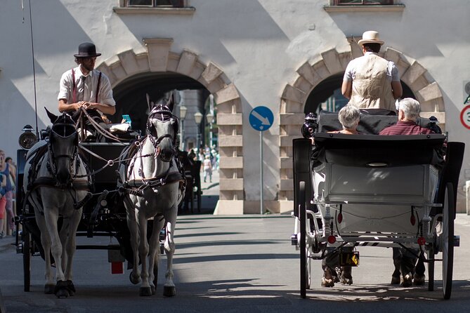 Exclusive Vienna Old Town Highlights Walking Tour (Max. 6 Persons) - Exploring the Iconic Hofburg Palace