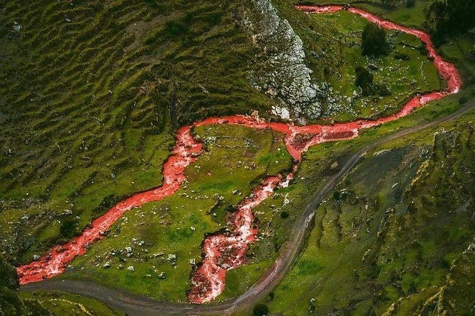Excursion to Rainbow Mountain Palcoyo From Cusco. - Tour Inclusions and Logistics