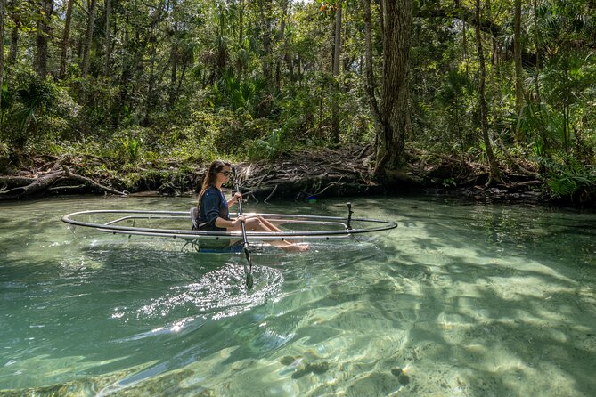 Explore The Chaz: Exclusive Clear Kayak Tours Near Crystal River - Highlights of the Experience