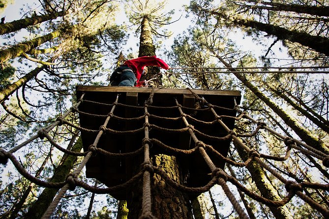 Forestal Park Tenerife Entrance Ticket - Safety Measures and Requirements